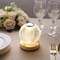 Clear 5 in Acrylic Crystal Ball TABLE LAMP USB Rechargeable LED Light